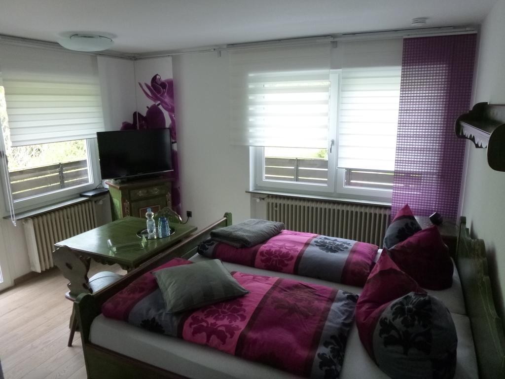 Pension Pulvermuehle ヴァイシェンフェルト 部屋 写真